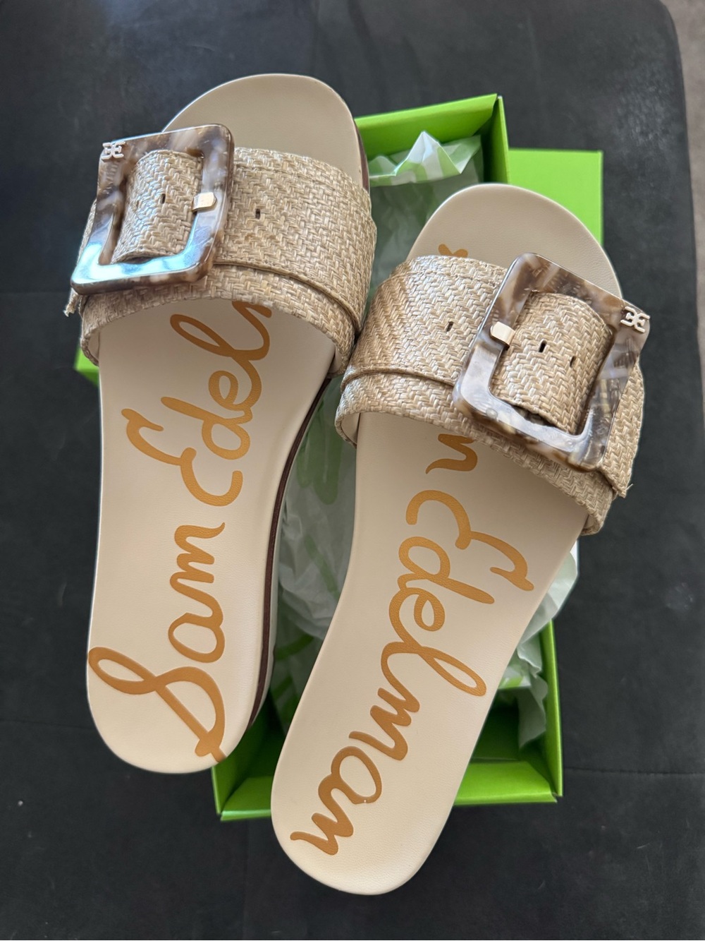 Sam Edelman Ariane Raffia Slide Sandal with Tortoiseshell Buckle